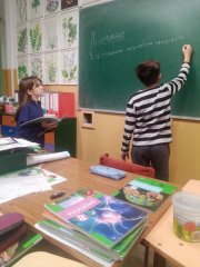 viber_slika_2022-11-08_21-12-22-349.jpg